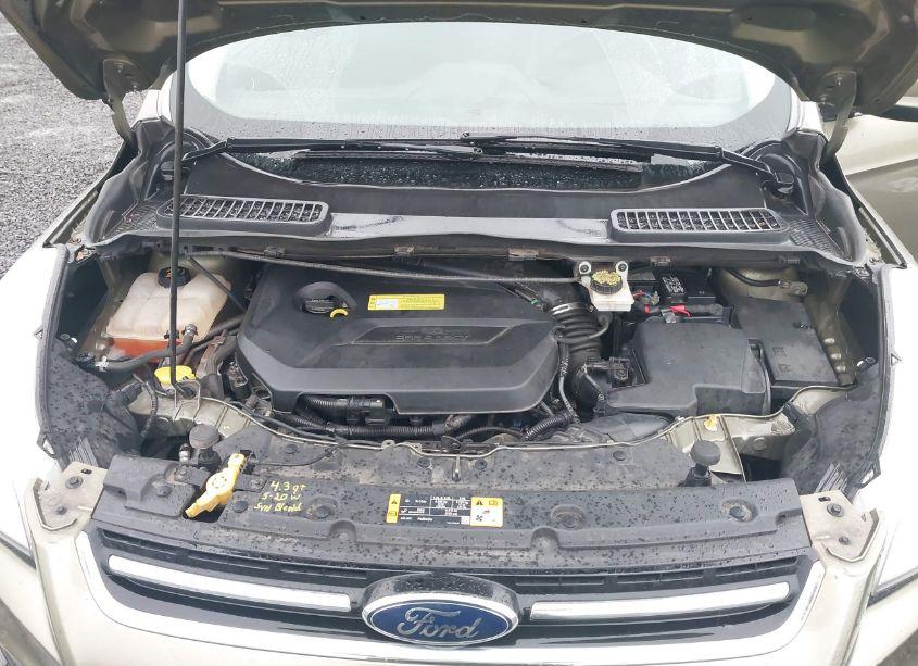 Photo 10 of 2013 Ford Escape SEL (VIN 1FMCU9HX0DUA01490)