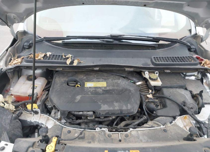 Photo 10 of 2013 Ford Escape SEL (VIN 1FMCU9HX0DUB39949)