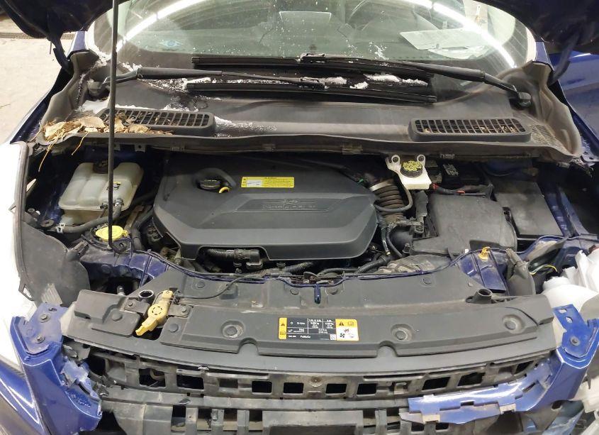 Photo 10 of 2013 Ford Escape SEL (VIN 1FMCU9HX1DUC47299)