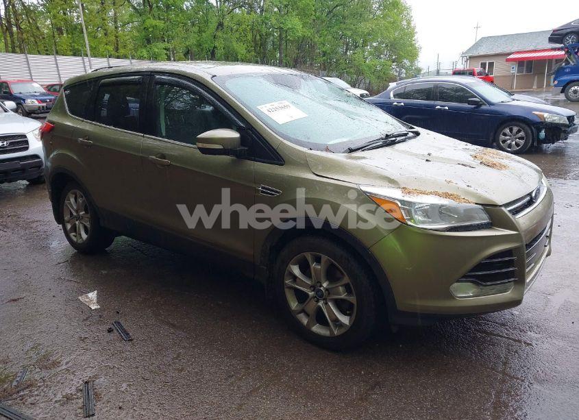 2013 Ford Escape SEL (VIN 1FMCU9HX2DUB52251) main photo