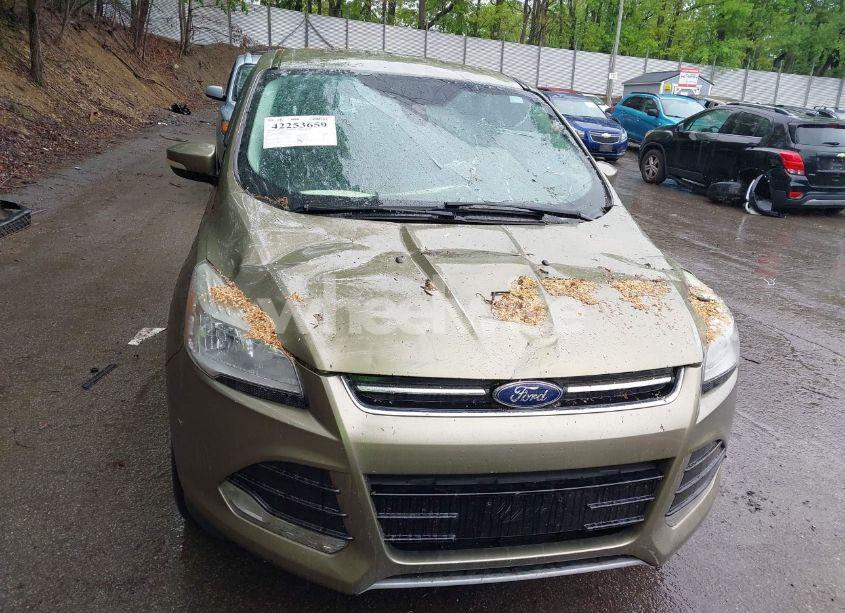 Photo 12 of 2013 Ford Escape SEL (VIN 1FMCU9HX2DUB52251)