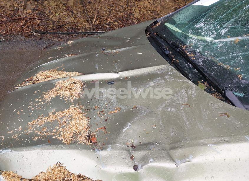 Photo 6 of 2013 Ford Escape SEL (VIN 1FMCU9HX2DUB52251)