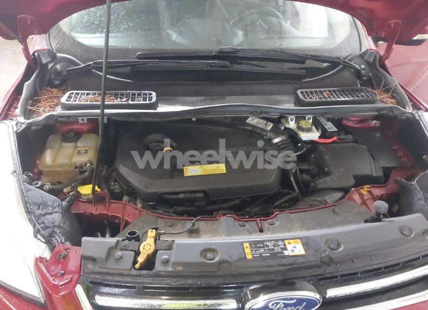 Photo 10 of 2013 Ford Escape SEL (VIN 1FMCU9HX2DUB79885)