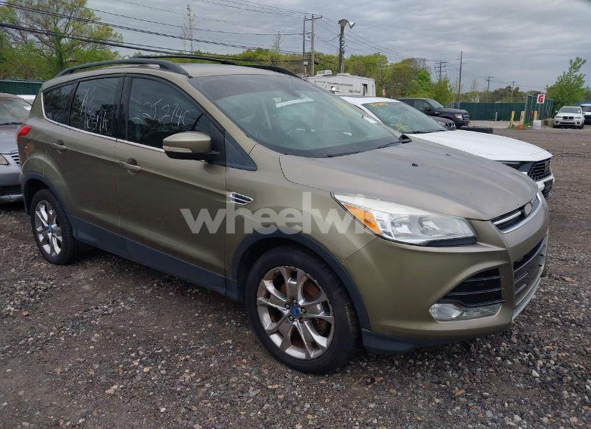 2013 Ford Escape SEL (VIN 1FMCU9HX3DUB79409) main photo