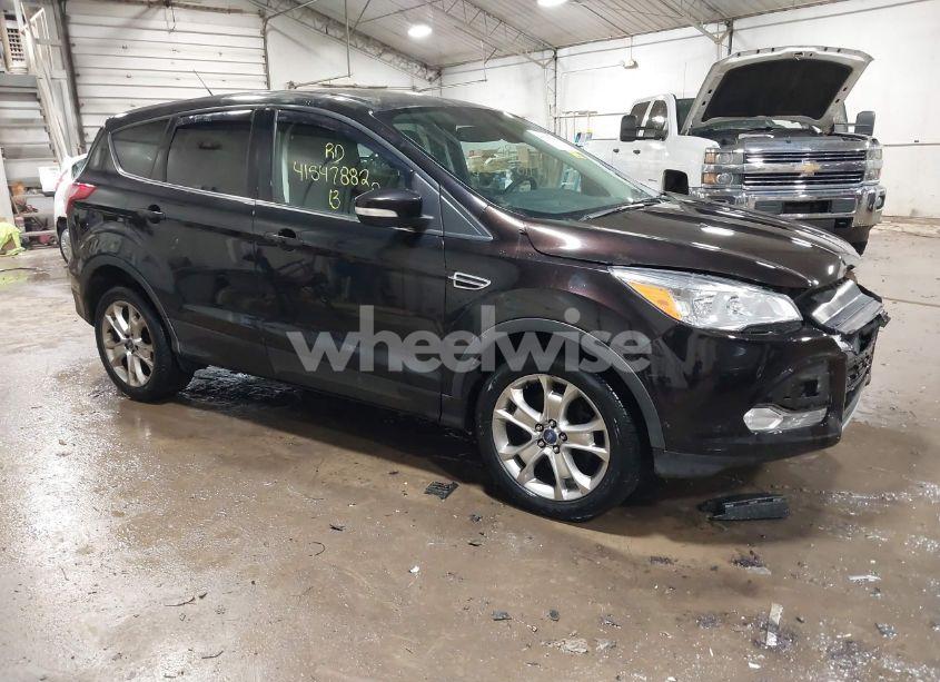 2013 Ford Escape SEL (VIN 1FMCU9HX4DUA33438) main photo
