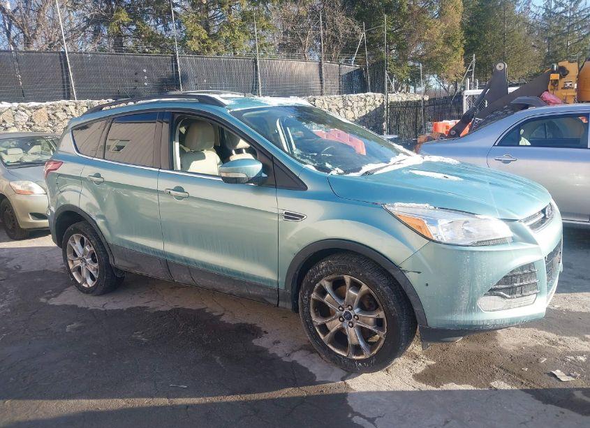 2013 Ford Escape SEL (VIN 1FMCU9HX4DUD31701) main photo