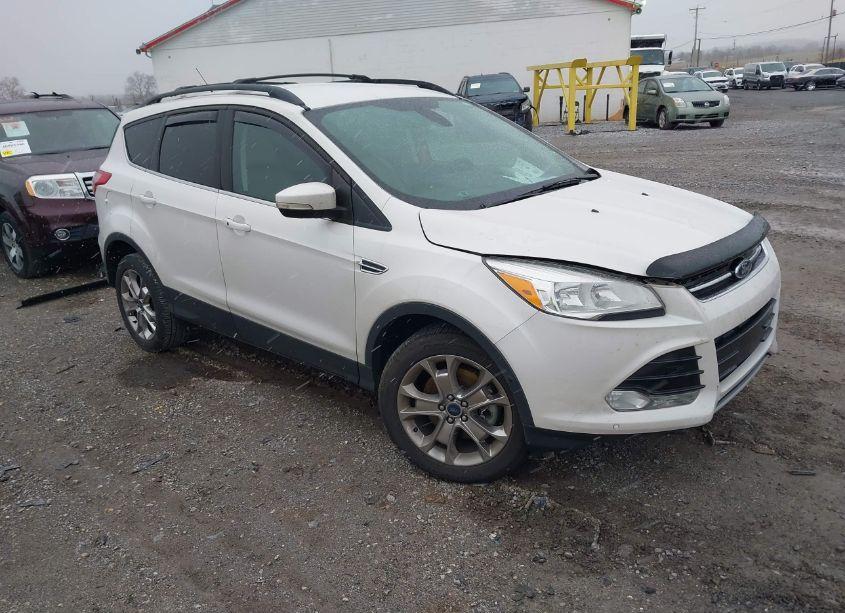 2013 Ford Escape SEL (VIN 1FMCU9HX4DUD48000) main photo