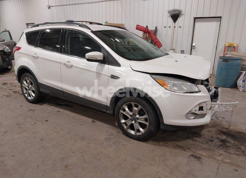 2013 Ford Escape SEL (VIN 1FMCU9HX5DUA24389) main photo