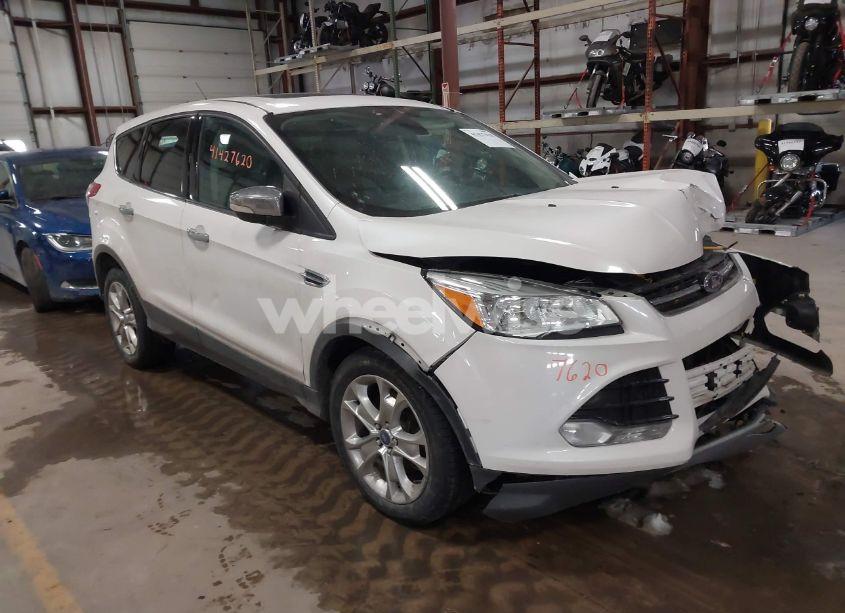 2013 Ford Escape SEL (VIN 1FMCU9HX5DUB38764) main photo