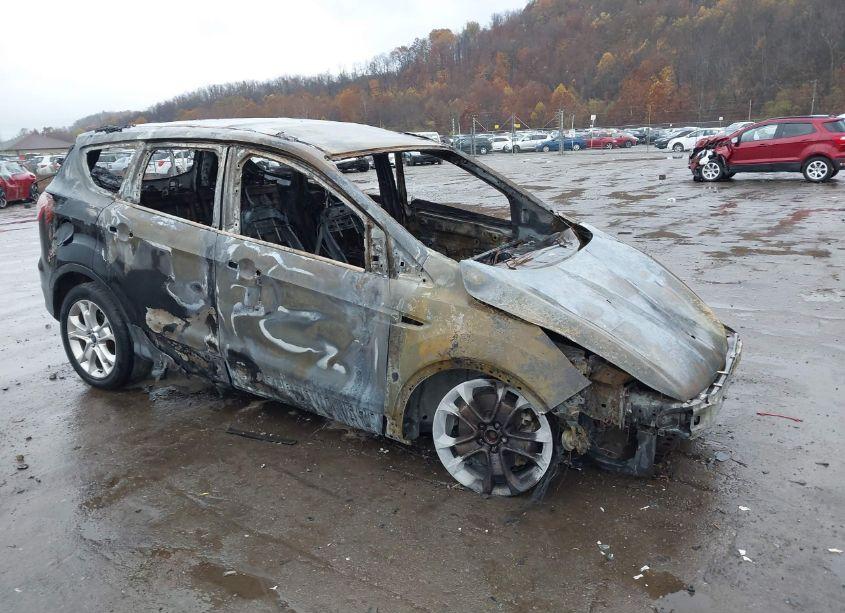 2013 Ford Escape SEL (VIN 1FMCU9HX5DUC80807) main photo