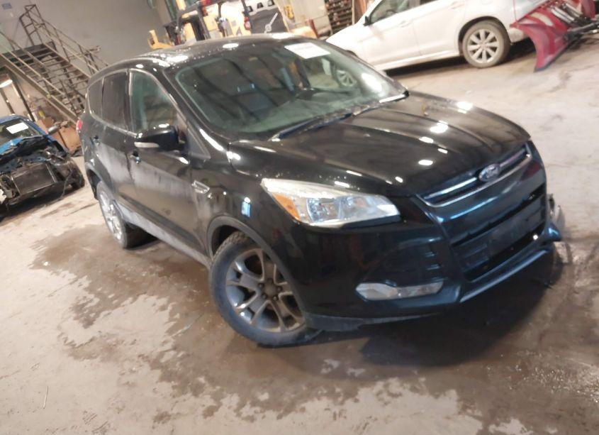 2013 Ford Escape SEL (VIN 1FMCU9HX5DUD14616) main photo