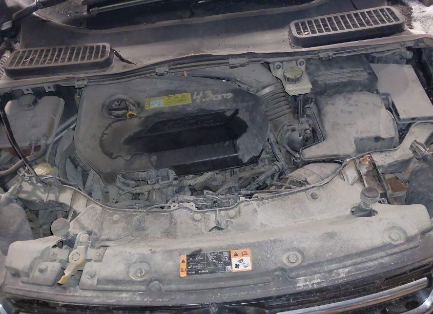 Photo 10 of 2013 Ford Escape SEL (VIN 1FMCU9HX5DUD14616)