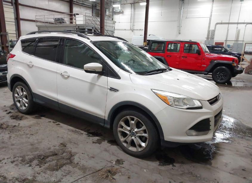 2013 Ford Escape SEL (VIN 1FMCU9HX6DUA72404) main photo