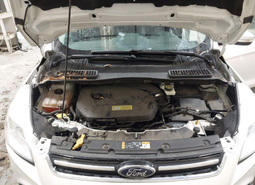 Photo 10 of 2013 Ford Escape SEL (VIN 1FMCU9HX6DUA72404)