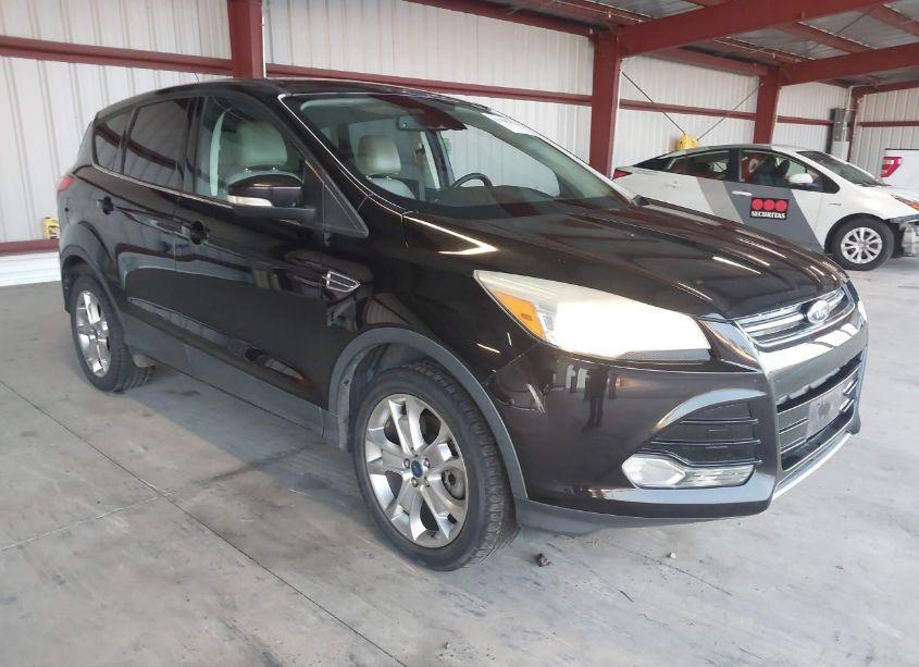2013 Ford Escape SEL (VIN 1FMCU9HX7DUD19557) main photo