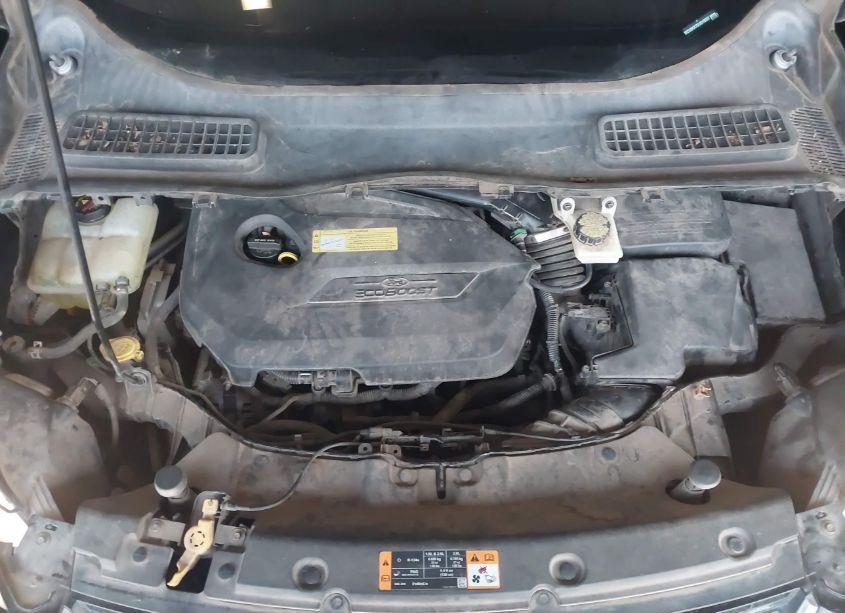 Photo 9 of 2013 Ford Escape SEL (VIN 1FMCU9HX7DUD19557)