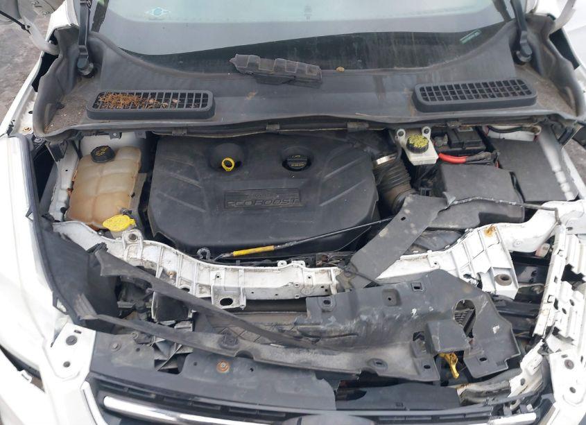 Photo 10 of 2014 Ford Escape TITANIUM (VIN 1FMCU9J91EUB20856)