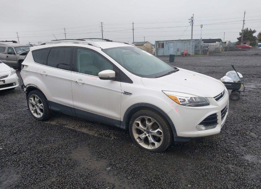 2014 Ford Escape TITANIUM (VIN 1FMCU9J92EUA61428) main photo