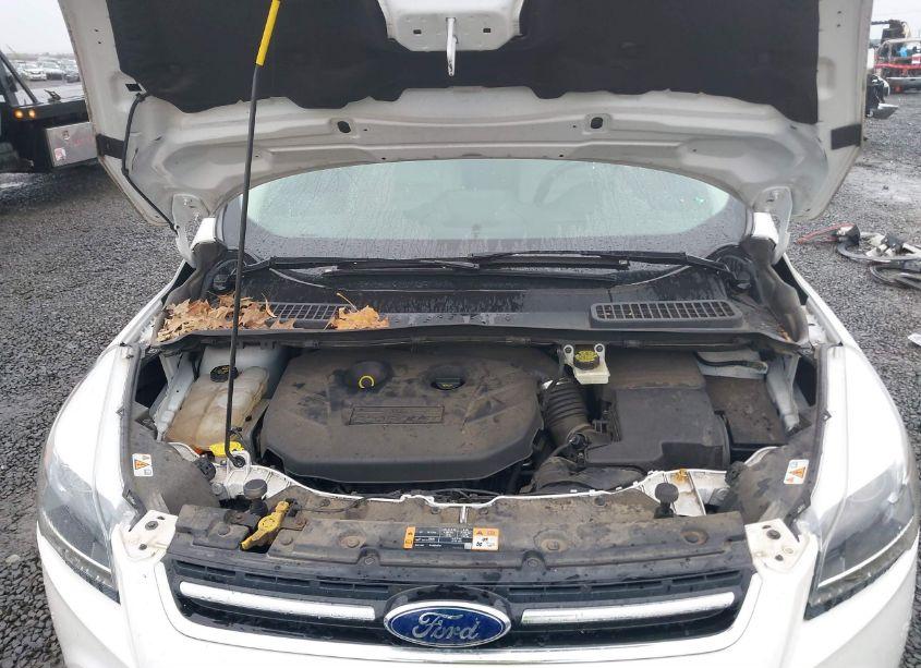 Photo 10 of 2014 Ford Escape TITANIUM (VIN 1FMCU9J92EUA61428)
