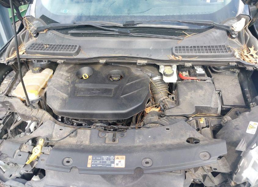 Photo 10 of 2015 Ford Escape TITANIUM (VIN 1FMCU9J92FUA57946)