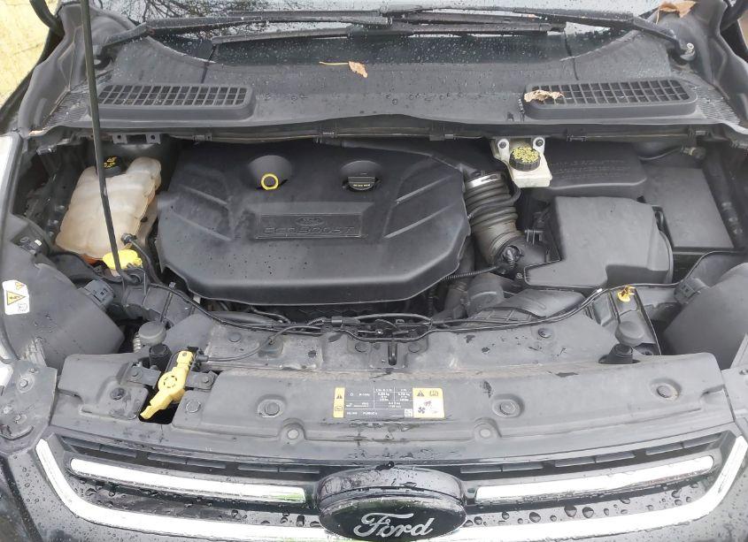 Photo 10 of 2014 Ford Escape TITANIUM (VIN 1FMCU9J93EUC90877)