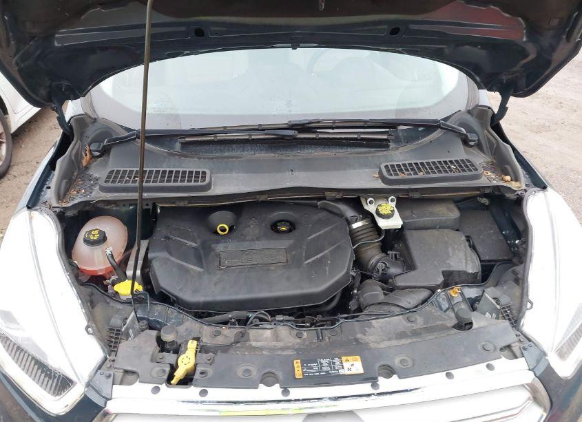 Photo 10 of 2019 Ford Escape TITANIUM (VIN 1FMCU9J93KUB53742)