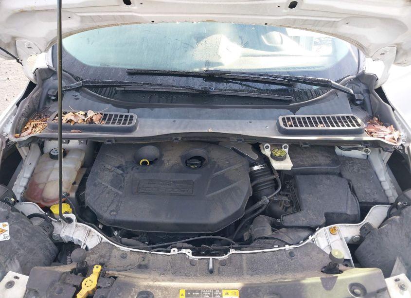 Photo 10 of 2013 Ford Escape TITANIUM (VIN 1FMCU9J94DUA86295)