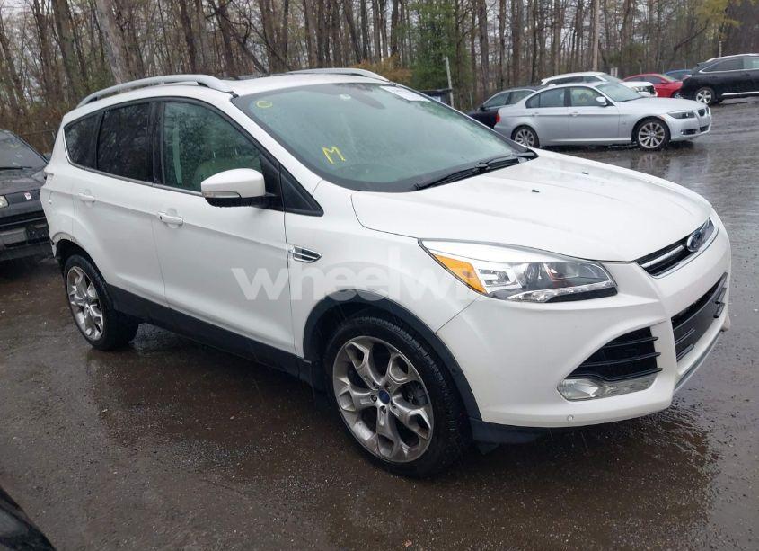 2014 Ford Escape TITANIUM (VIN 1FMCU9J94EUD49614) main photo