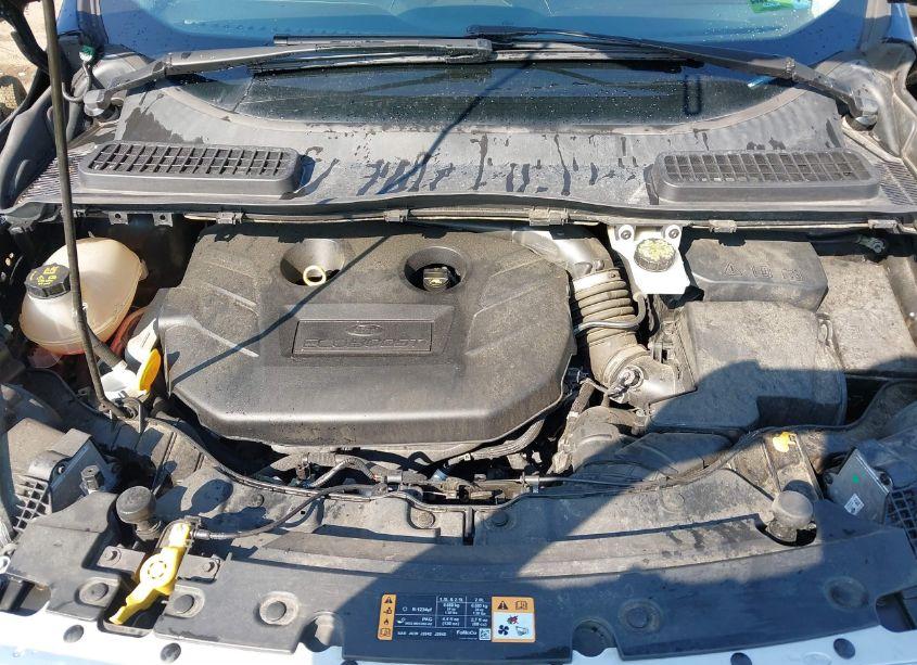 Photo 10 of 2018 Ford Escape TITANIUM (VIN 1FMCU9J94JUA49517)