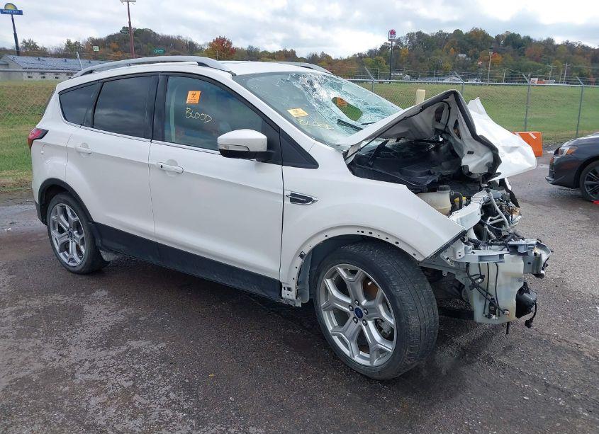 2019 Ford Escape TITANIUM (VIN 1FMCU9J95KUB82787) main photo