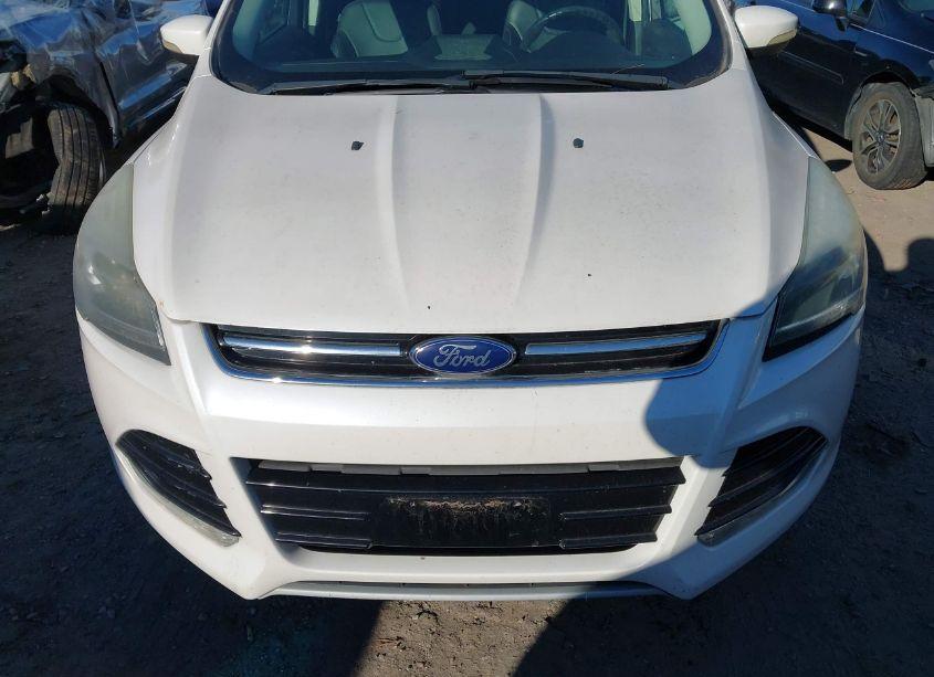 Photo 6 of 2013 Ford Escape TITANIUM (VIN 1FMCU9J97DUD21692)