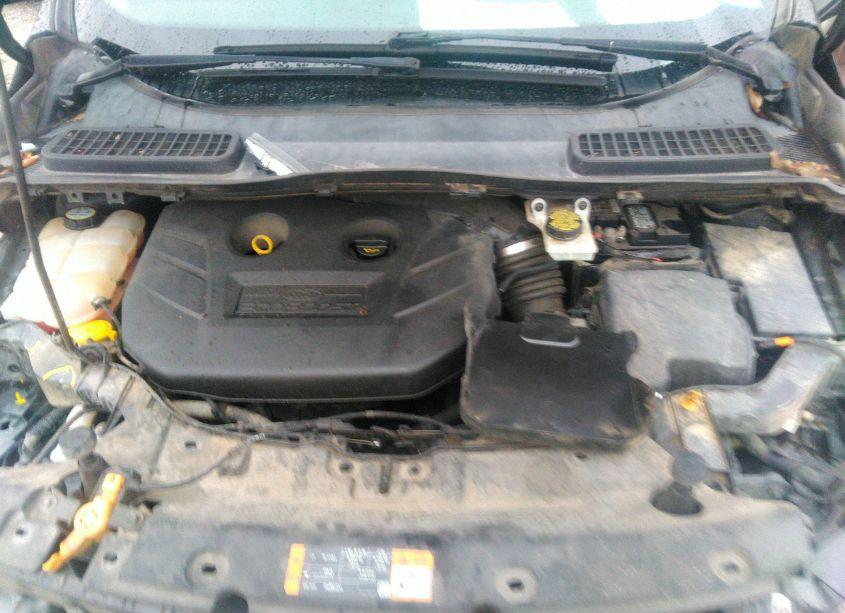 Photo 10 of 2013 Ford Escape TITANIUM (VIN 1FMCU9J99DUB62383)