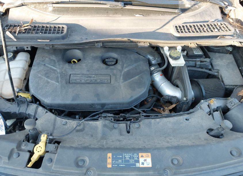 Photo 10 of 2013 Ford Escape TITANIUM (VIN 1FMCU9J9XDUD48577)