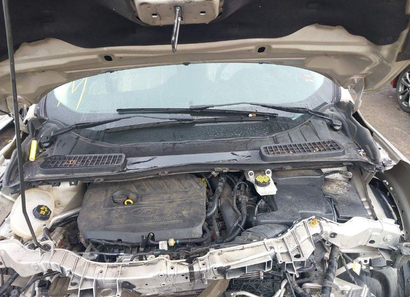 Photo 10 of 2017 Ford Escape TITANIUM (VIN 1FMCU9JD1HUB65188)