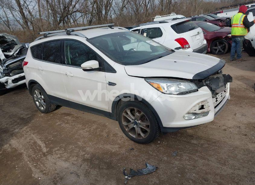 2014 Ford Escape TITANIUM (VIN 1FMCU9JX0EUE10150) main photo