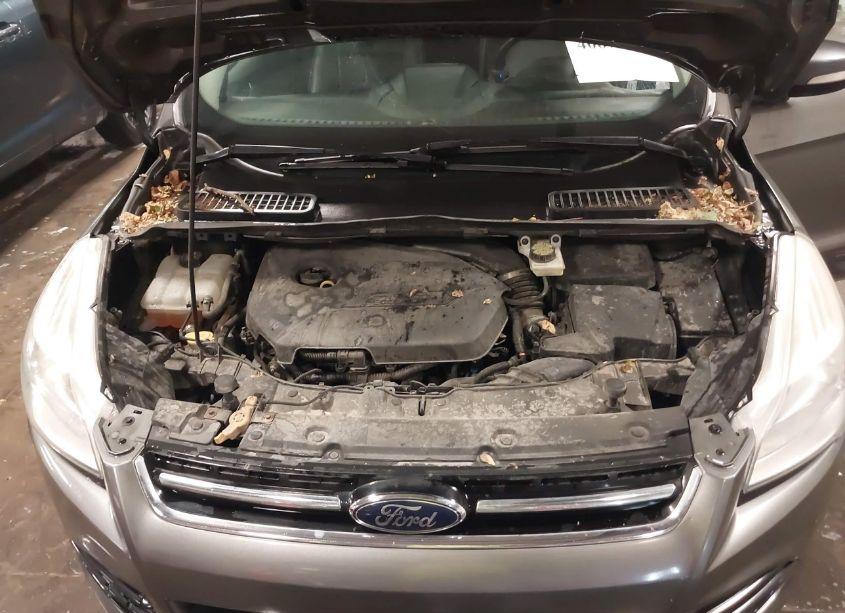 Photo 10 of 2014 Ford Escape TITANIUM (VIN 1FMCU9JX7EUB62186)