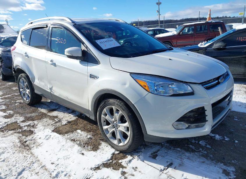 2014 Ford Escape TITANIUM (VIN 1FMCU9JX8EUD29042) main photo
