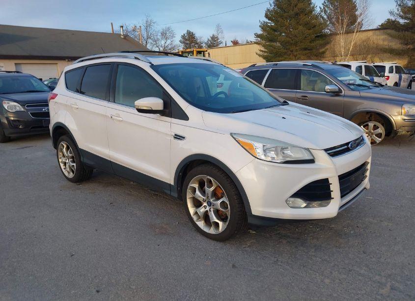 2014 Ford Escape TITANIUM (VIN 1FMCU9JX9EUA18834) main photo