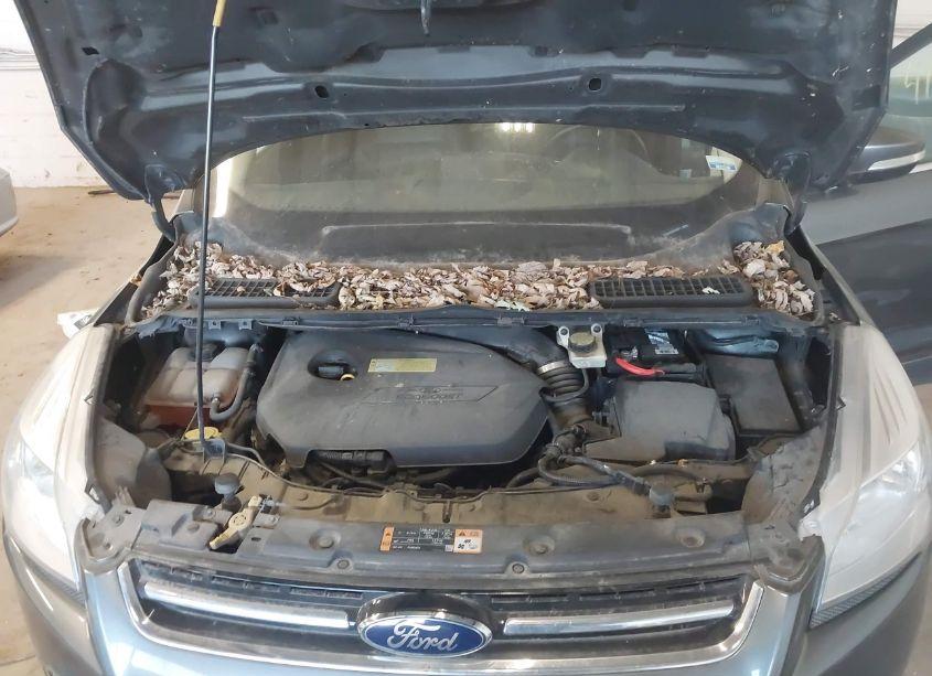 Photo 10 of 2014 Ford Escape TITANIUM (VIN 1FMCU9JX9EUB46877)