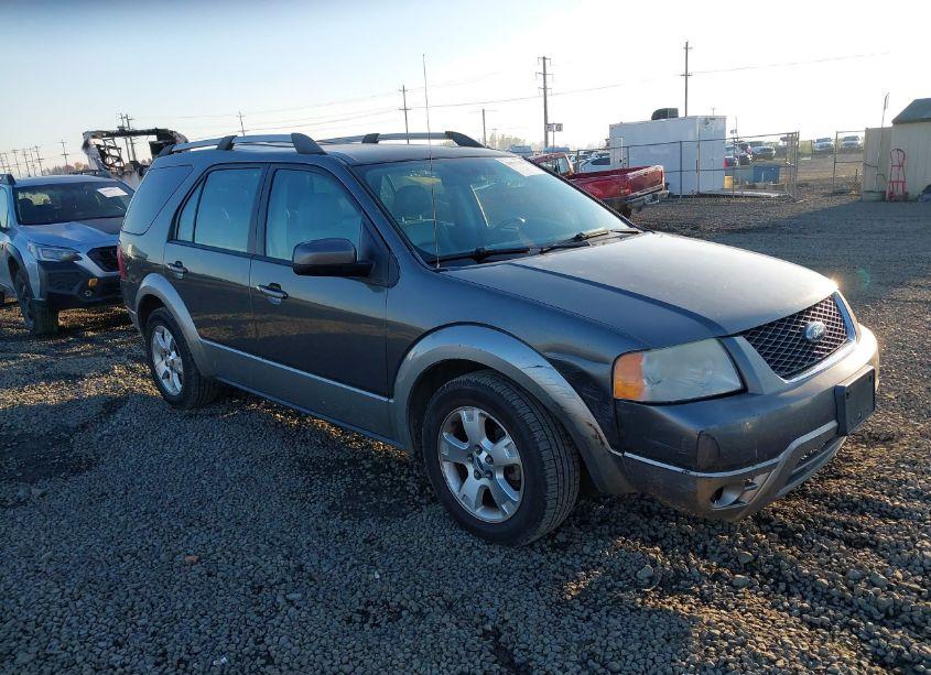2006 Ford Freestyle SEL (VIN 1FMDK05156GA51387) main photo