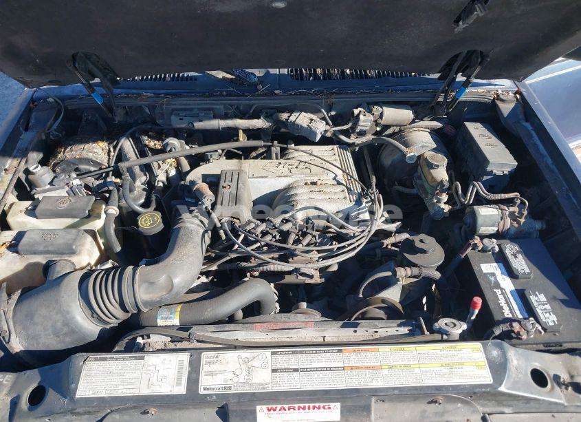 Photo 10 of 1996 Ford Explorer (VIN 1FMDU35P8TUD11679)