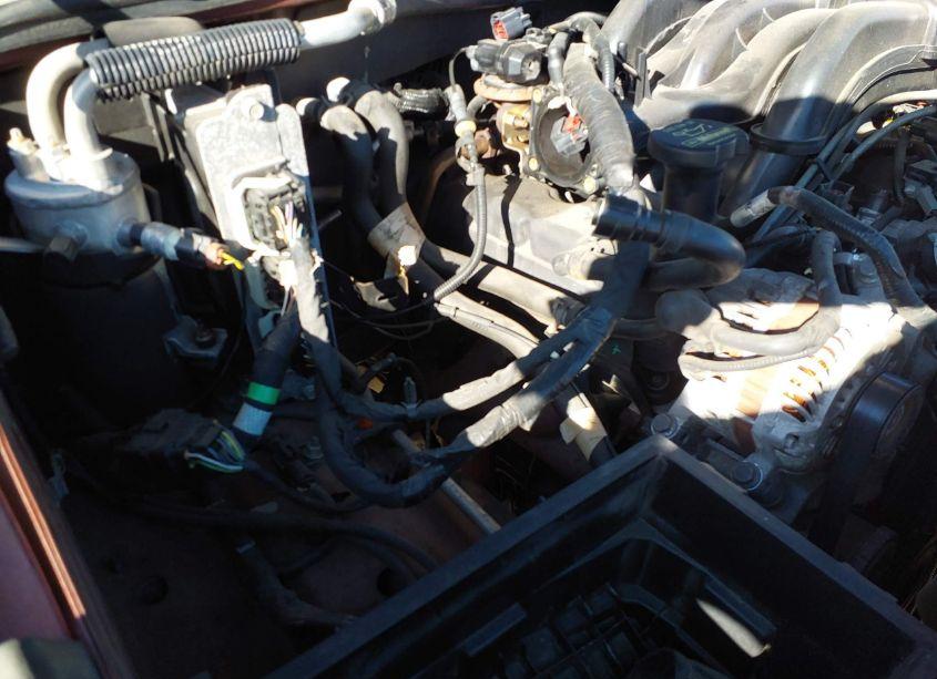 Photo 12 of 2010 Ford Explorer EDDIE BAUER (VIN 1FMEU6EE9AUA92197)