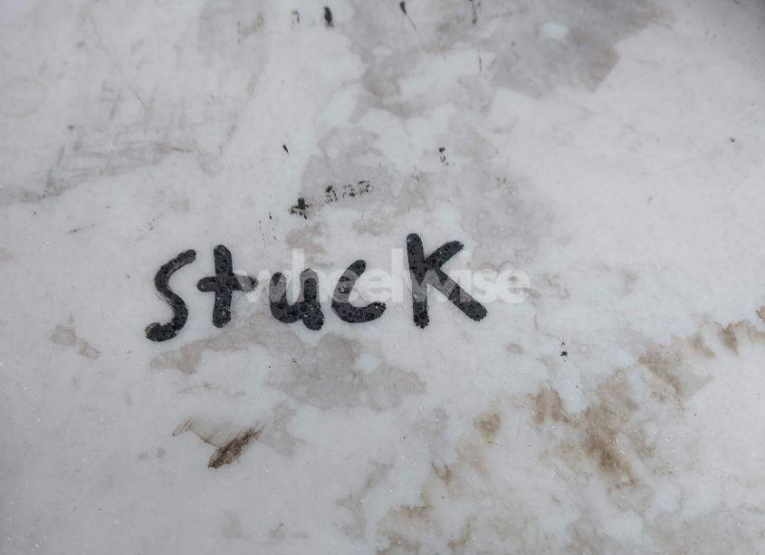 Photo 10 of 2007 Ford Explorer XLT (VIN 1FMEU73E57UA98483)