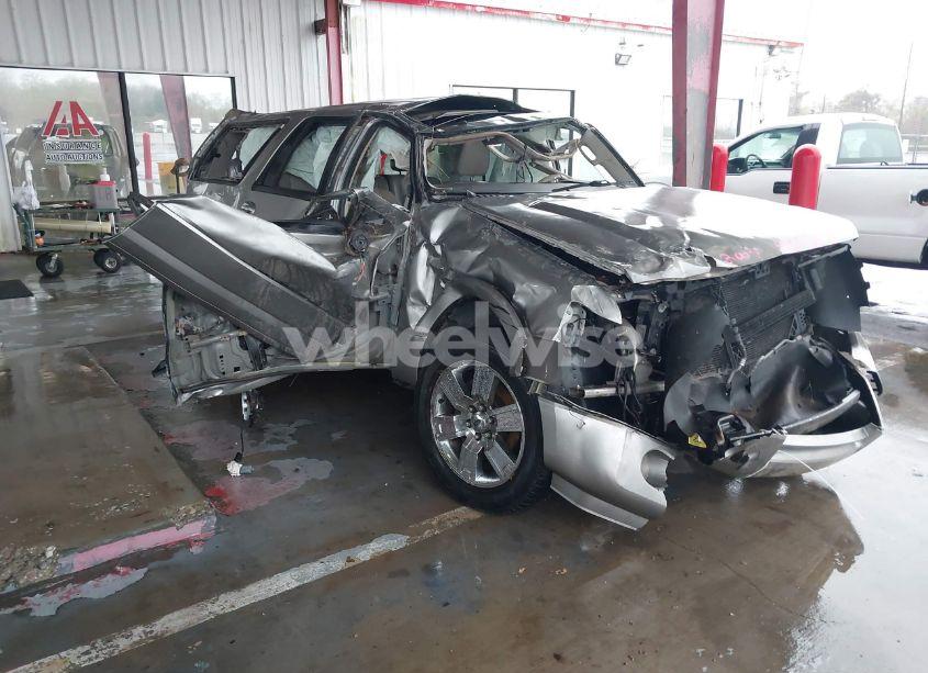 2009 Ford Expedition EL LIMITED (VIN 1FMFK19529LA12909) main photo