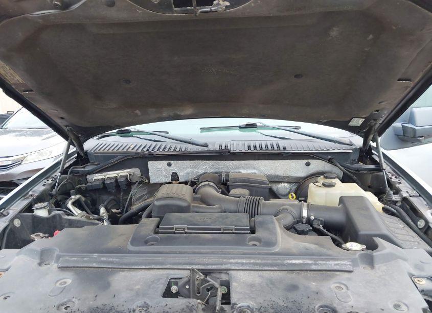 Photo 10 of 2009 Ford Expedition XLT (VIN 1FMFU15539EB03174)