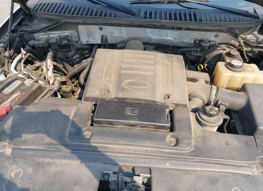 Photo 10 of 2007 Ford Expedition XLT (VIN 1FMFU16567LA01407)