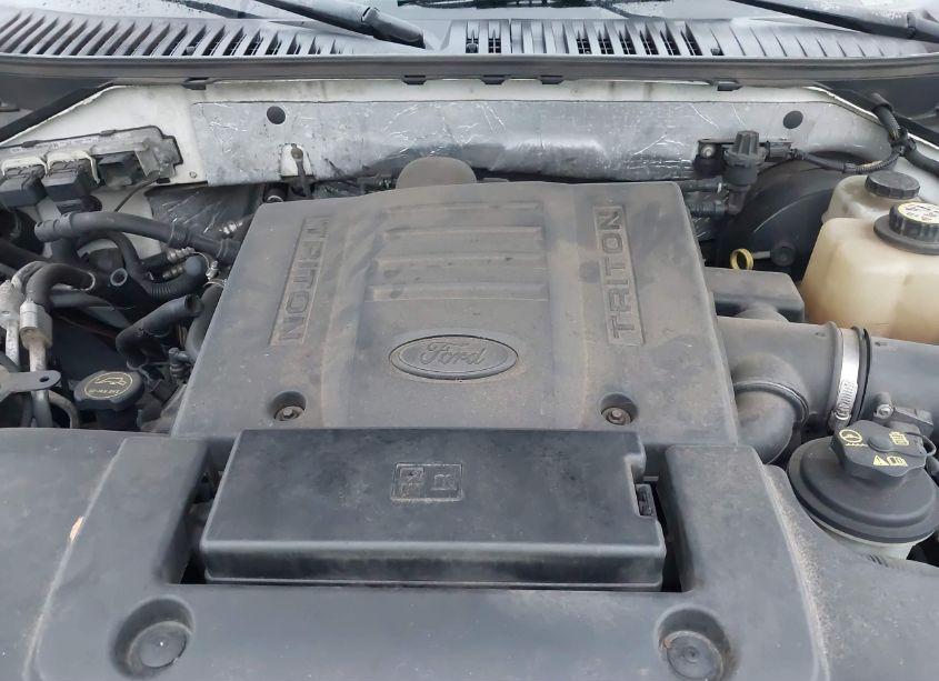 Photo 5 of 2007 Ford Expedition EDDIE BAUER (VIN 1FMFU17537LA59828)