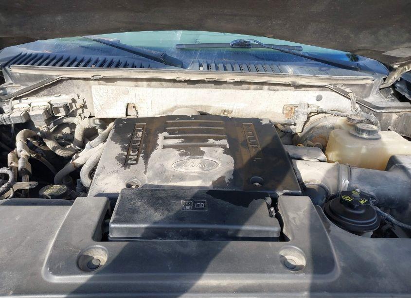Photo 10 of 2007 Ford Expedition EDDIE BAUER (VIN 1FMFU18587LA23888)