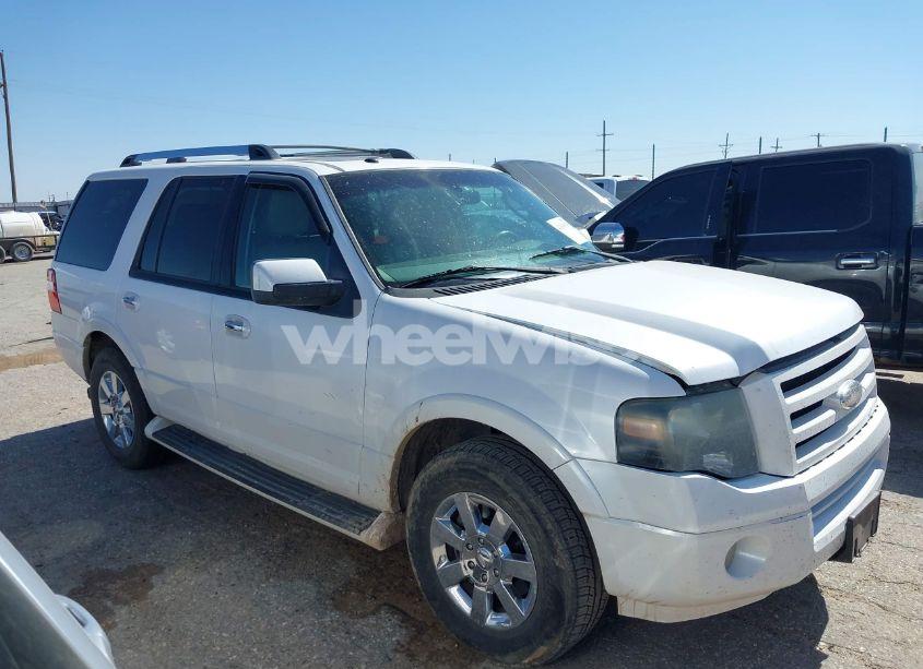 2009 Ford Expedition LIMITED (VIN 1FMFU19589EB10972) main photo