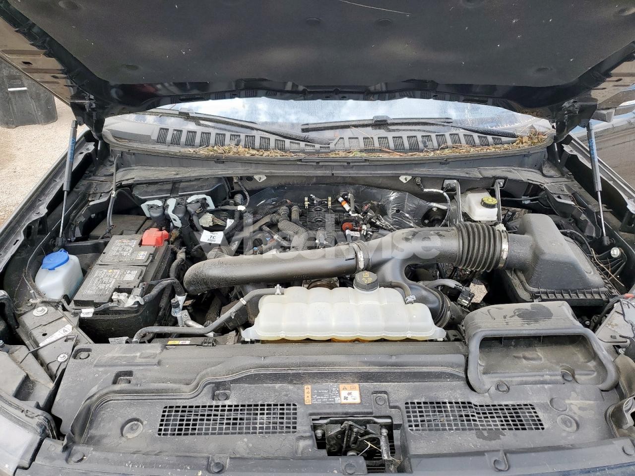 Photo 12 of 2025 FORD EXPEDITION MAX ACTIVE (VIN 1FMJK1J80SEA16063)